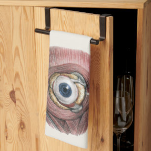 Vintage Human Anatomy, Eyeball Eye with Muscles Kitchen Towel