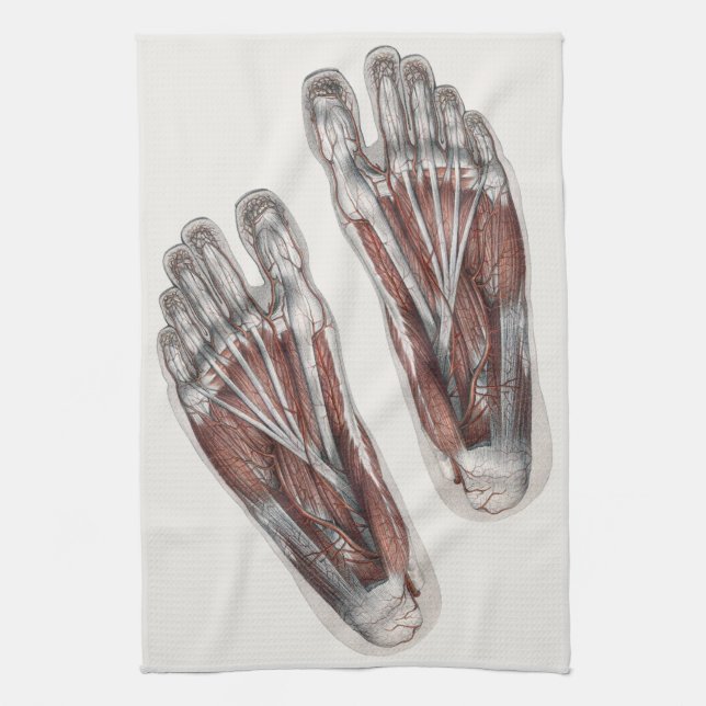 Vintage Human Anatomy Footprint Podiatry Feet Kitchen Towel (Vertical)