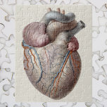 Vintage Human Anatomy Heart Organs Healthy Jigsaw Puzzle<br><div class="desc">Vintage illustration human health and anatomy drawing featuring the heart. The human heart is an organ that provides blood circulation throughout the cardiac system. It is one of the most vital organs in the human body. The heart is divided into four main chambers; the left and right atria (singular atrium)...</div>