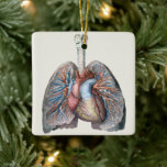 Vintage Human Anatomy Lungs Heart Organs Blood Ceramic Ornament<br><div class="desc">Vintage illustration human health and anatomy drawing featuring organs,  lungs,  blood vessels,  coronary veins and a heart. Great design for science and biology geeks.</div>