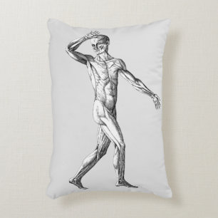 Vintage Human Anatomy, Male Body Muscles Accent Pillow