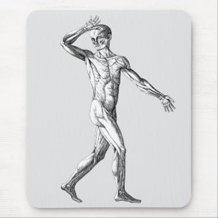 Vintage Human Anatomy, Male Body Muscles Mouse Pad