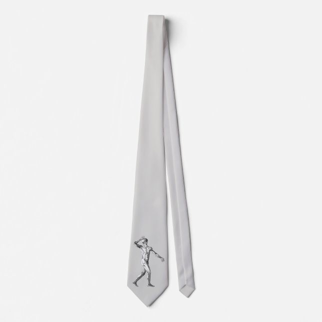 Vintage Human Anatomy, Male Body Muscles Tie (Front)