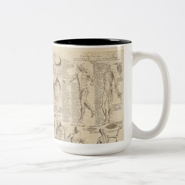 Vintage human anatomy mug (Right)