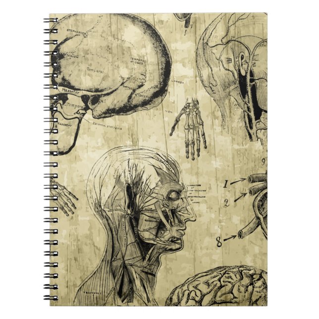 Vintage Human Anatomy Notebook (Front)