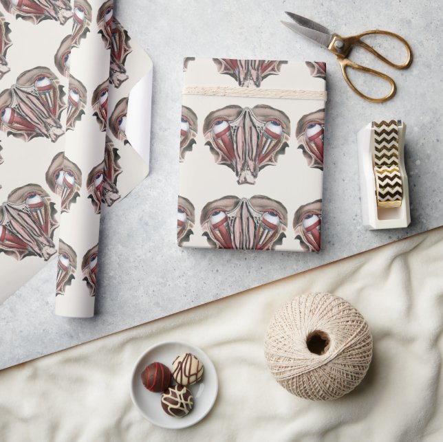 Vintage Human Anatomy Science, Eyeballs Eyes Wrapping Paper (Crafts)