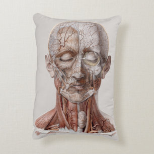 Vintage Human Anatomy Science, Head Throat Nose Accent Pillow