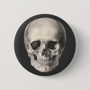 Vintage Human Anatomy Skull, Halloween Skeleton 2 Inch Round Button