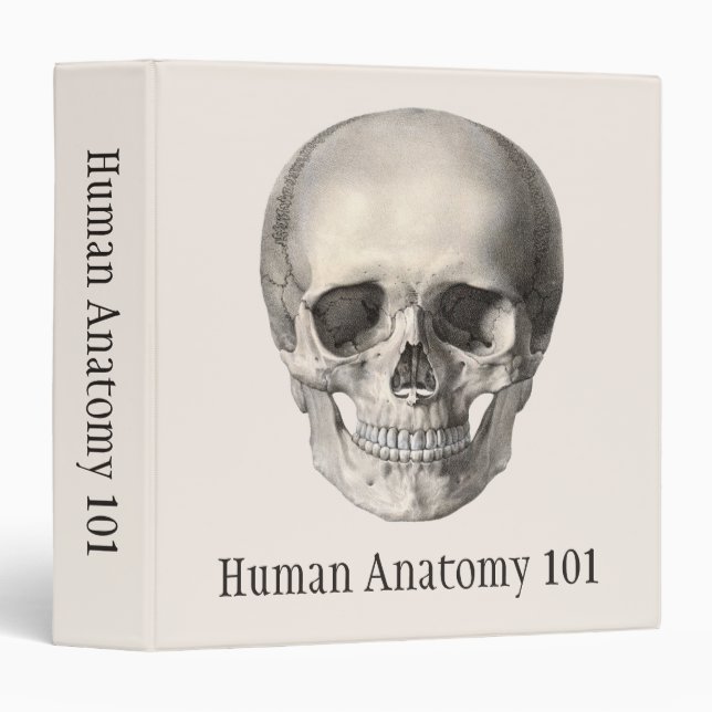 Vintage Human Anatomy Skull, Halloween Skeleton Binder (Front/Spine)