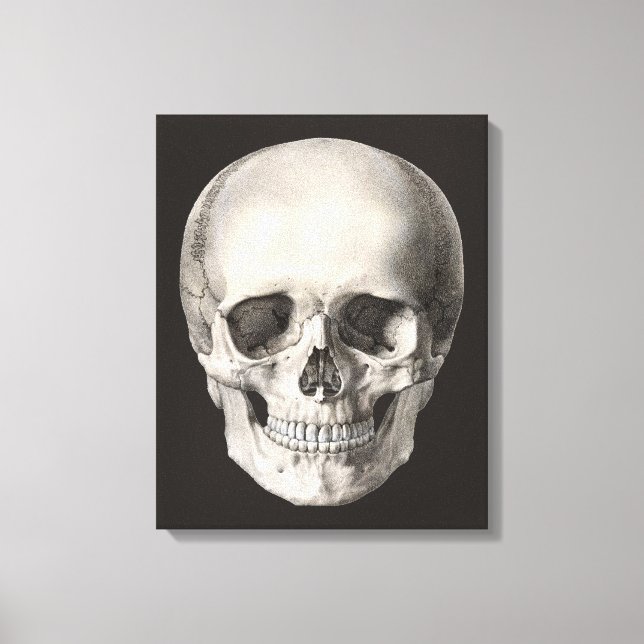 Vintage Human Anatomy Skull, Halloween Skeleton Canvas Print (Front)
