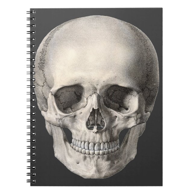 Vintage Human Anatomy Skull, Halloween Skeleton Notebook (Front)