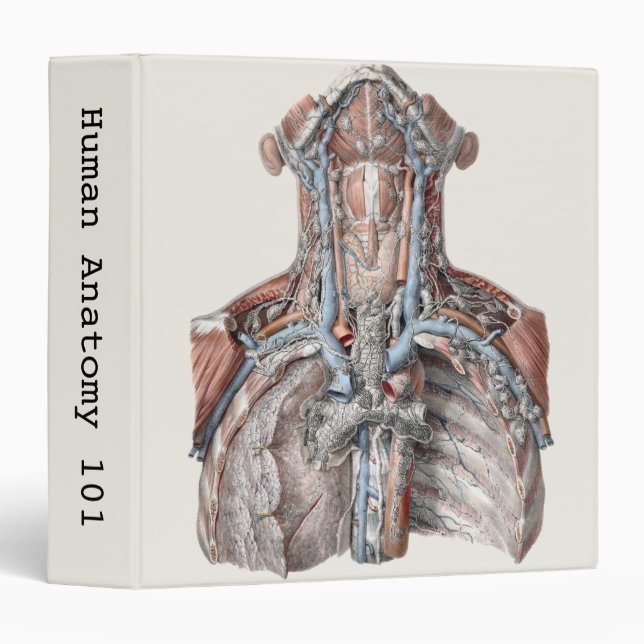 Vintage Human Anatomy Throat, Neck, Chest, Ribs Binder (Front/Spine)