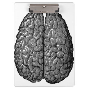 Vintage Human Brain Illustration Clipboard
