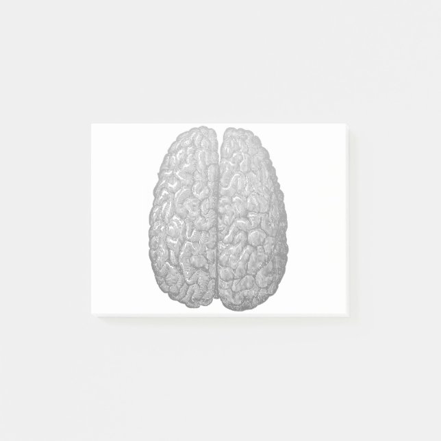 Vintage Human Brain Illustration Post-it Notes (Front)