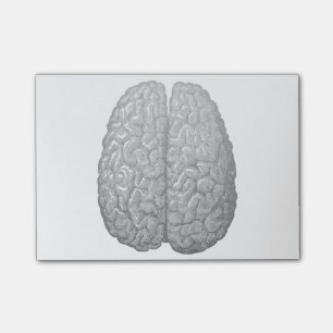 Vintage Human Brain Illustration Post-it Notes
