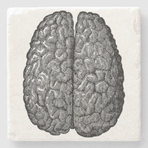 Vintage Human Brain Illustration Stone Coaster