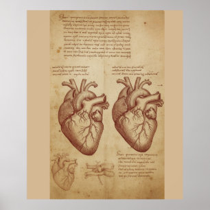 Vintage Human Heart Anatomy Scientific Study Poste Poster