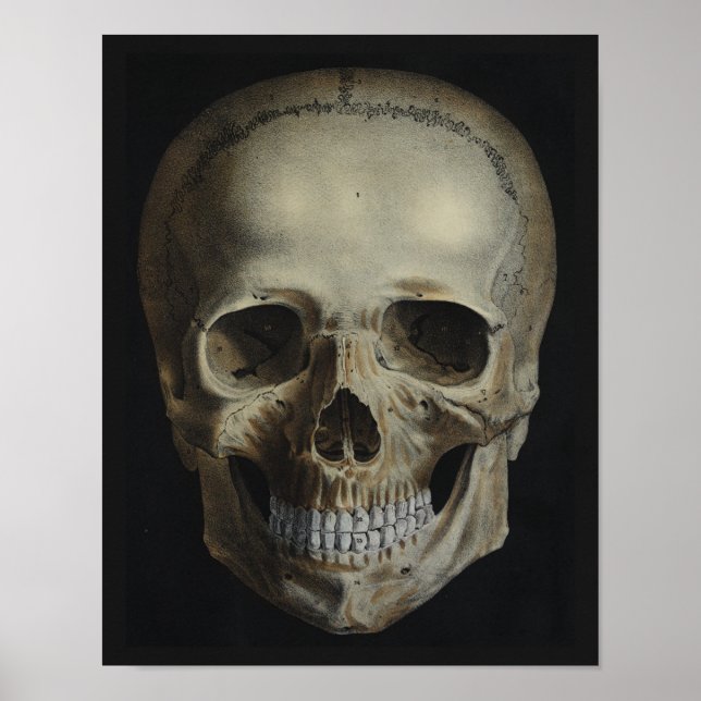 Vintage Human Skull Black Print (Front)