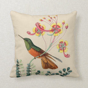 Vintage Humming bird home office pillow