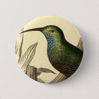Vintage Hummingbird Button