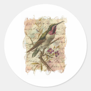 Vintage Hummingbird Classic Round Sticker