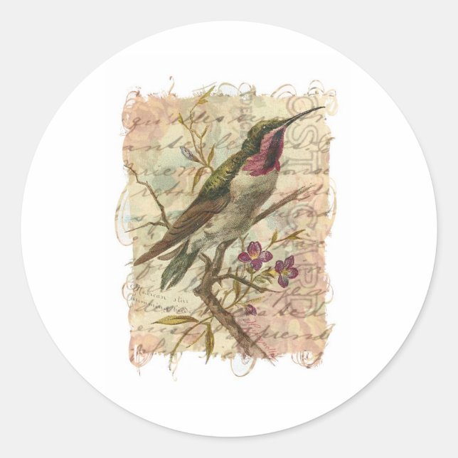 Vintage Hummingbird Classic Round Sticker (Front)