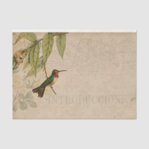 Vintage Hummingbird Ephemera Tissue Paper