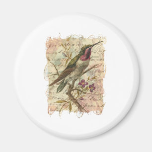 Vintage Hummingbird Magnet