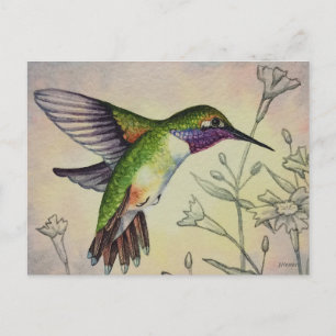 Vintage Hummingbird No. 2 Watercolor Art Postcard