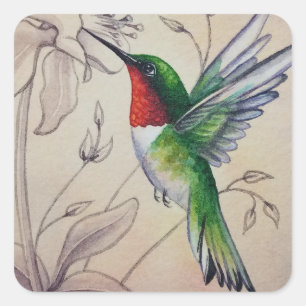 Vintage Hummingbird No. 6 Watercolor Art Square Sticker