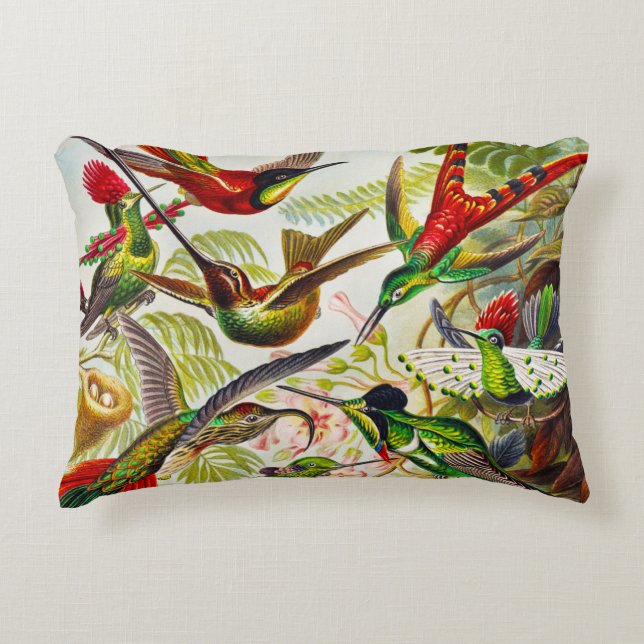 Vintage Hummingbirds by Ernst Haeckel Accent Pillow (Front)