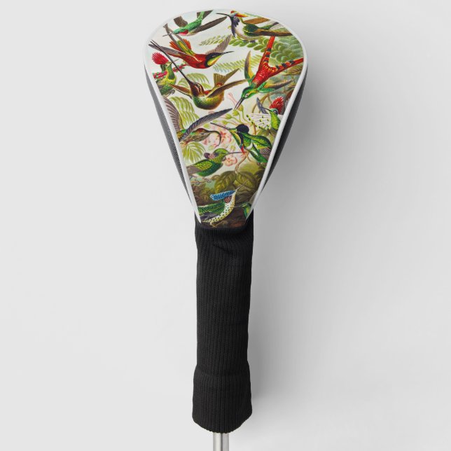 Vintage Hummingbirds by Ernst Haeckel Golf Head Cover (Front)