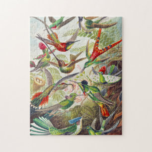 Vintage Hummingbirds by Ernst Haeckel Jigsaw Puzzle