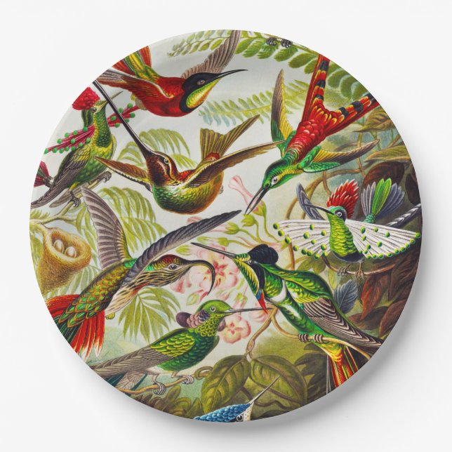 Vintage Hummingbirds by Ernst Haeckel Paper Plate (Front)