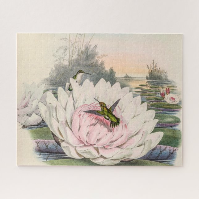 Vintage Hummingbirds by John Gould Jigsaw Puzzle (Horizontal)