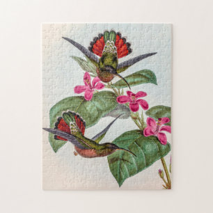 Vintage Hummingbirds by John Gould Jigsaw Puzzle