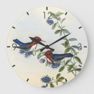Vintage Hummingbirds by John Gould Large Clock