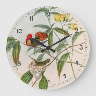 Vintage Hummingbirds by John Gould Large Clock