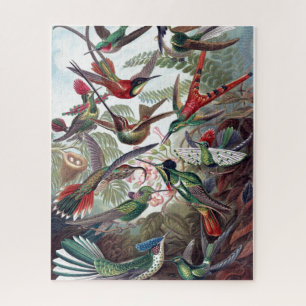 Vintage Hummingbirds Old Book Illustration Art Jigsaw Puzzle