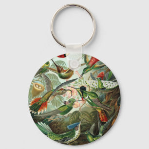 Vintage hummingbirds scientific illustration keychain
