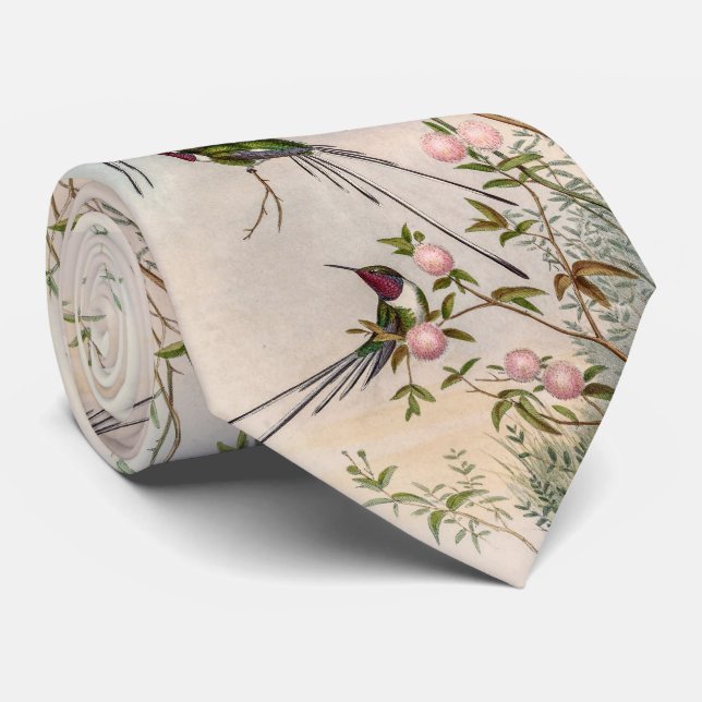 Vintage hummingbirds tie (Rolled)
