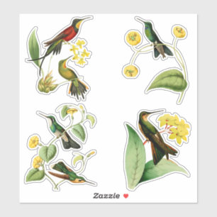 Vintage Hummingbirds with Tropical Plants