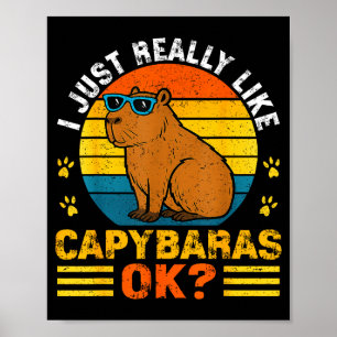 Vintage I Just Really Like Capybaras Ok Funny Capy Poster