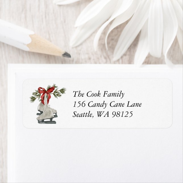 Vintage Ice Skates Holiday (Insitu)