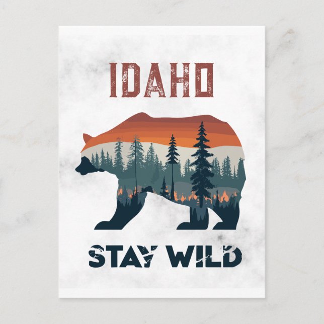 Vintage Idaho Bear Stay Wild Travel Postcard (Front)