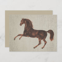 Vintage Illustrated Chestnut Horse Note Card Set