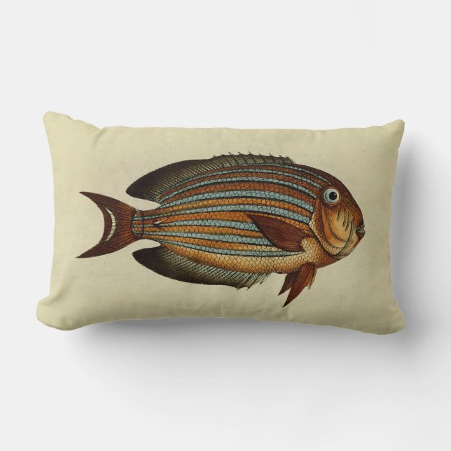 Vintage Illustration Clown Tang Fish Lumbar Pillow (Front)
