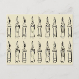 VINTAGE ILLUSTRATION Gardening Tools Pruners 2 Postcard