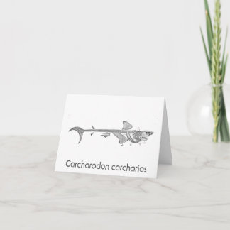 Vintage illustration - Great White Shark skeleton Thank You Card