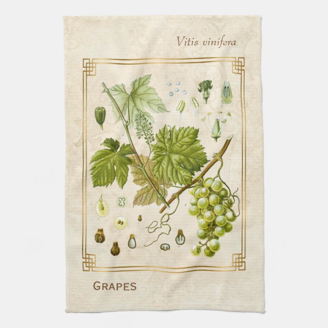Vintage Illustration Green Grape Fruit Botanical Kitchen Towel (Vertical)